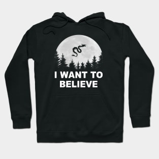 I Want To Believe Hoodie